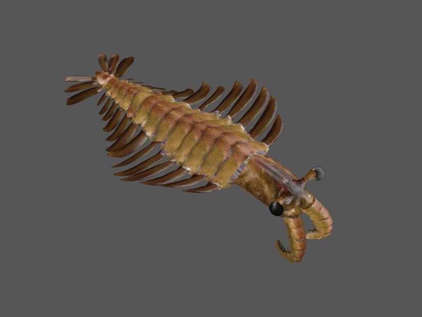 伪装成大佬的紫剑