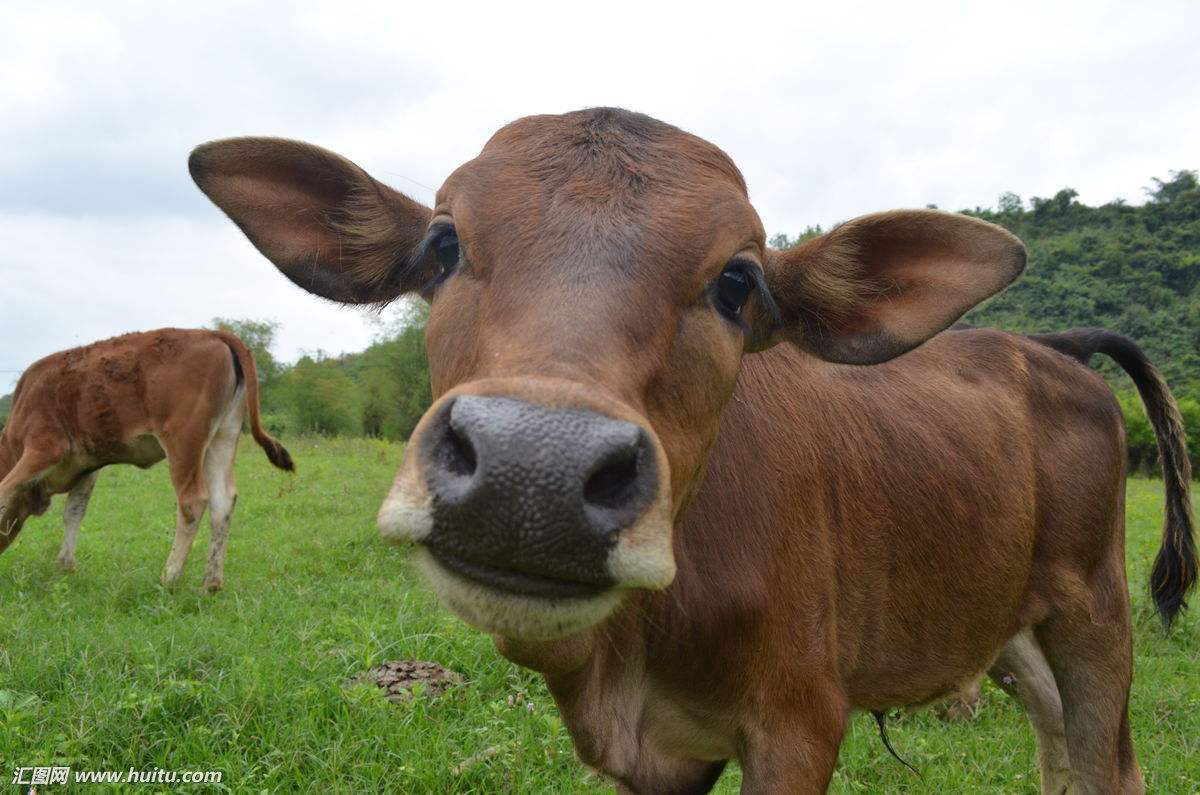 _ 哔哩哔哩纪录片 _ 哔哩哔哩相簿