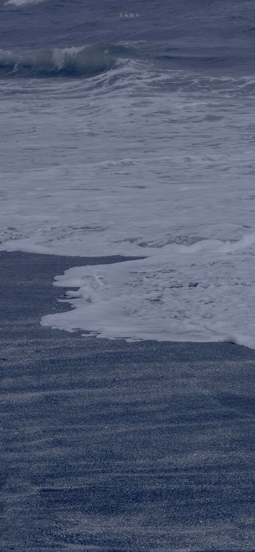 886_1920竖版 竖屏