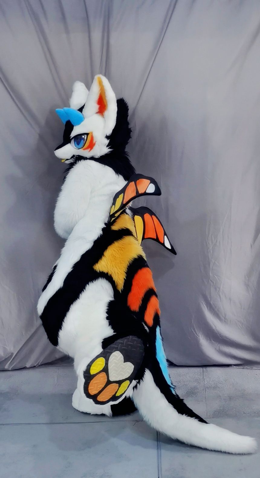 果糖含量 _ 哔哩哔哩相簿