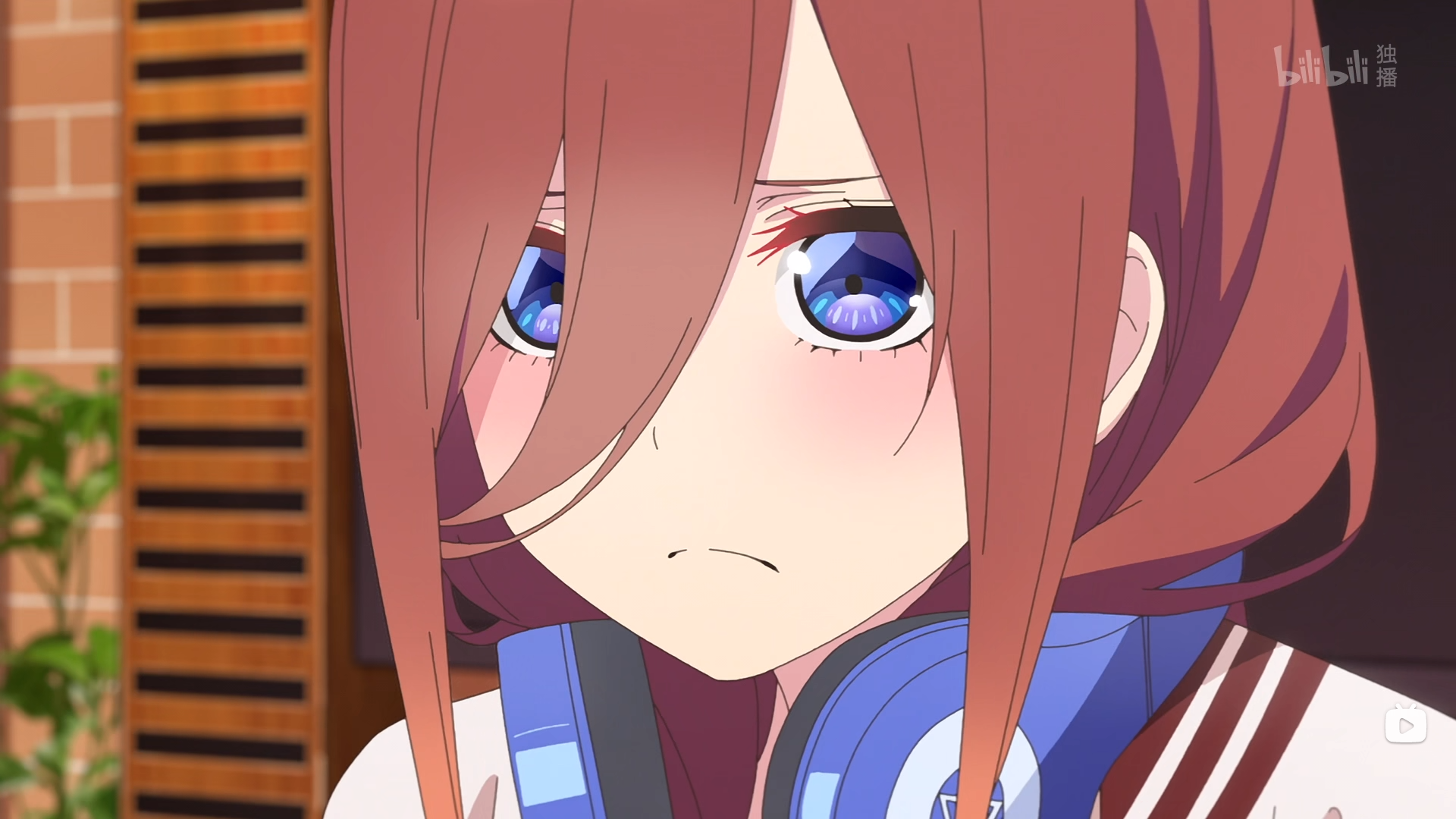 作者三时 _ 哔哩哔哩相簿