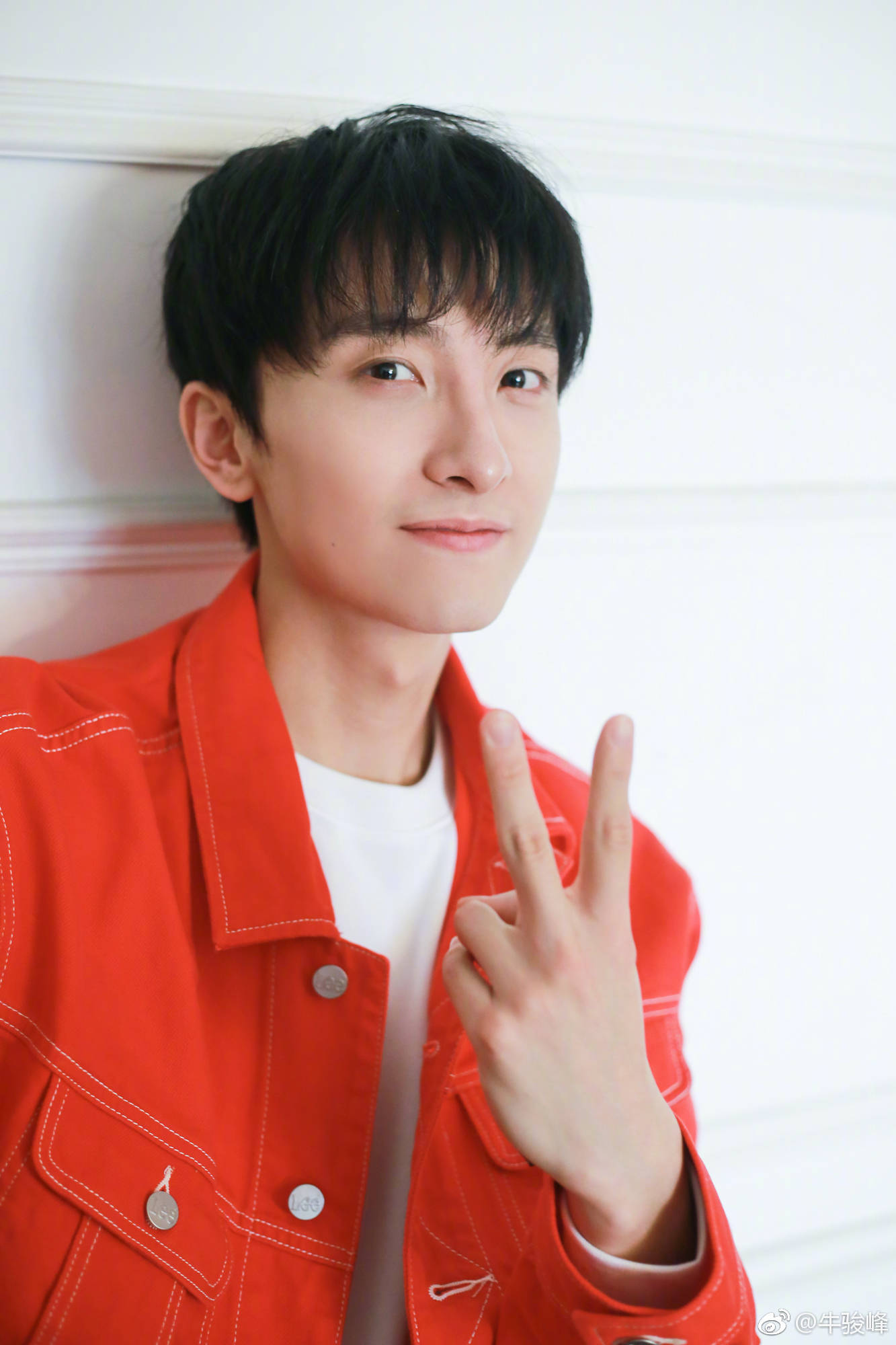 不知道大家觉得这个组合怎么样? 郑爽,牛骏峰,李现.