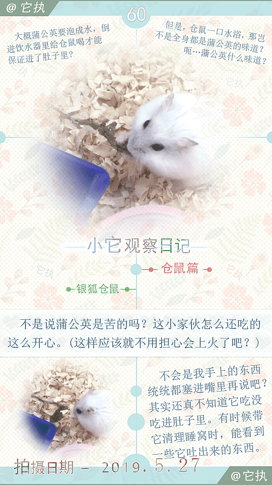 它执_ _ 哔哩哔哩相簿