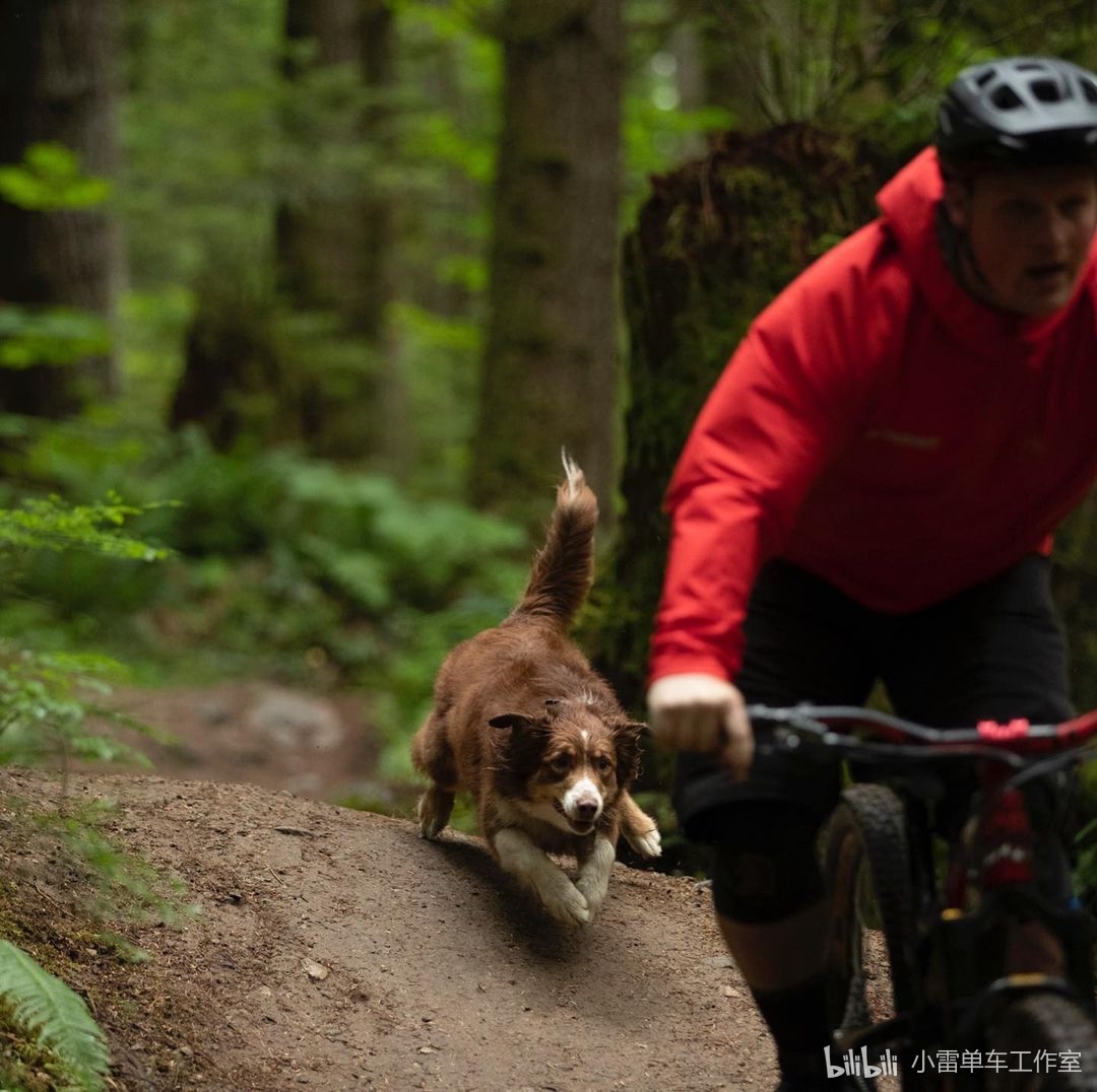 速降狗(一语双关)[妙啊]浏览:767收藏:0支持:24上传时间:2021-04-28