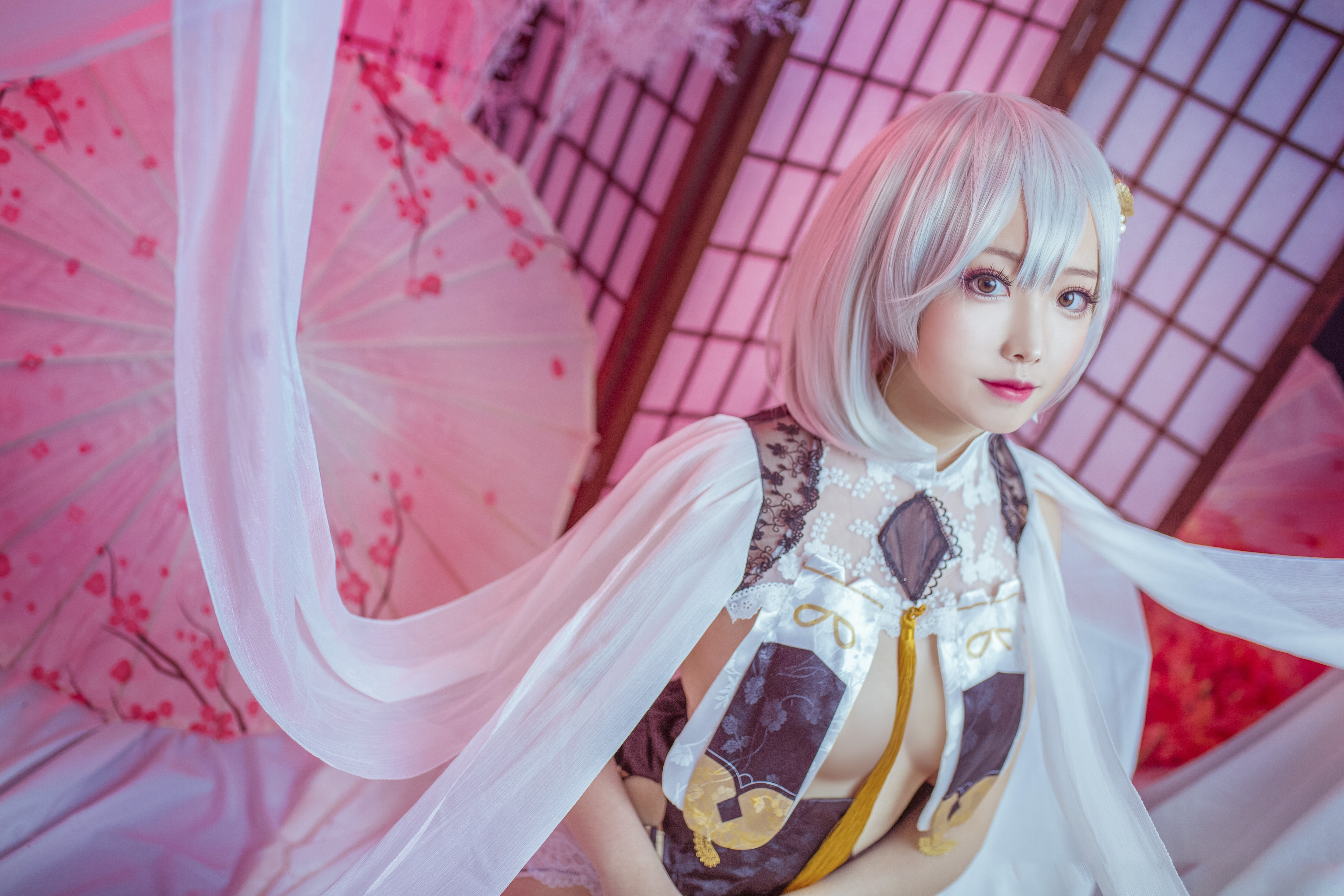 想不到名字的阿八碧蓝航线天狼星旗袍CoSplay9