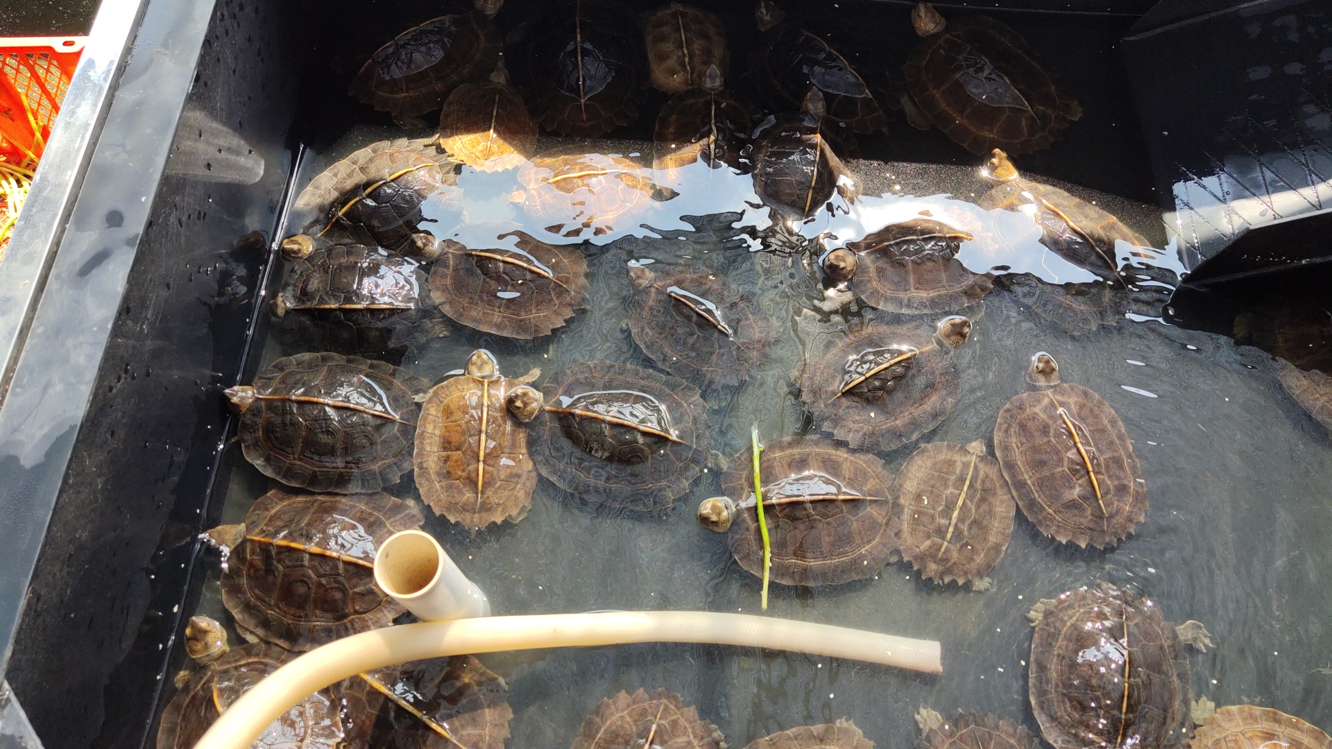 上传时间:2020-08-28 19:35:53