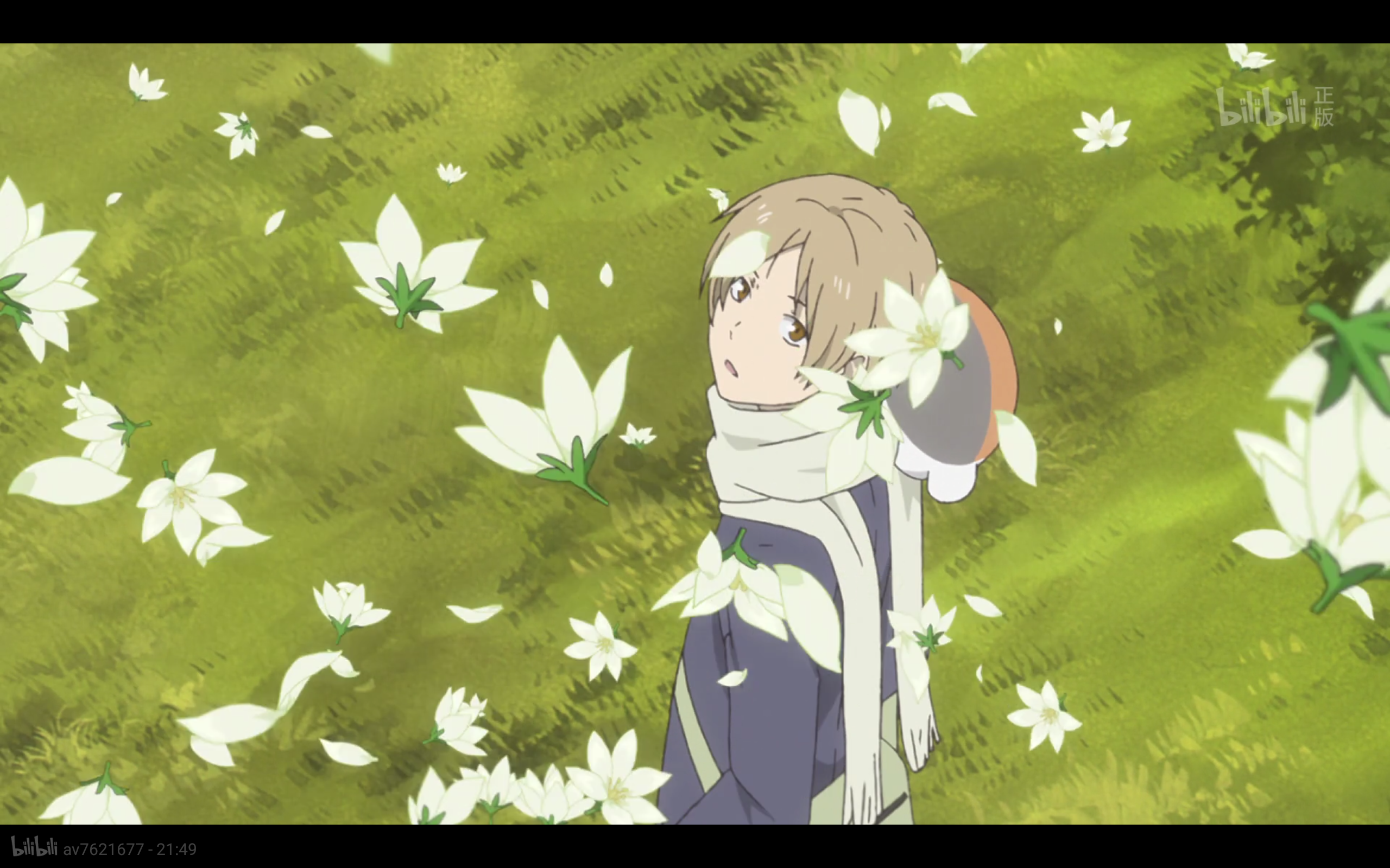 哔哩哔哩相簿,绘你所想,拍你所爱