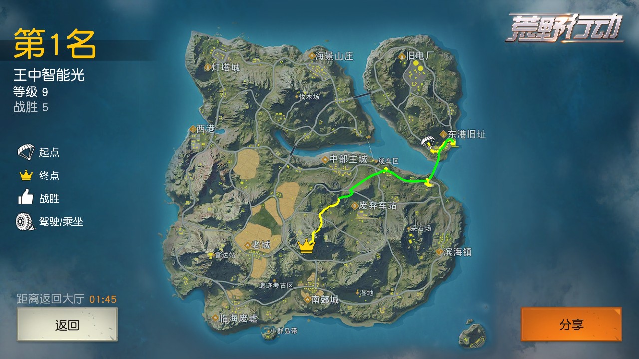 王中智能光