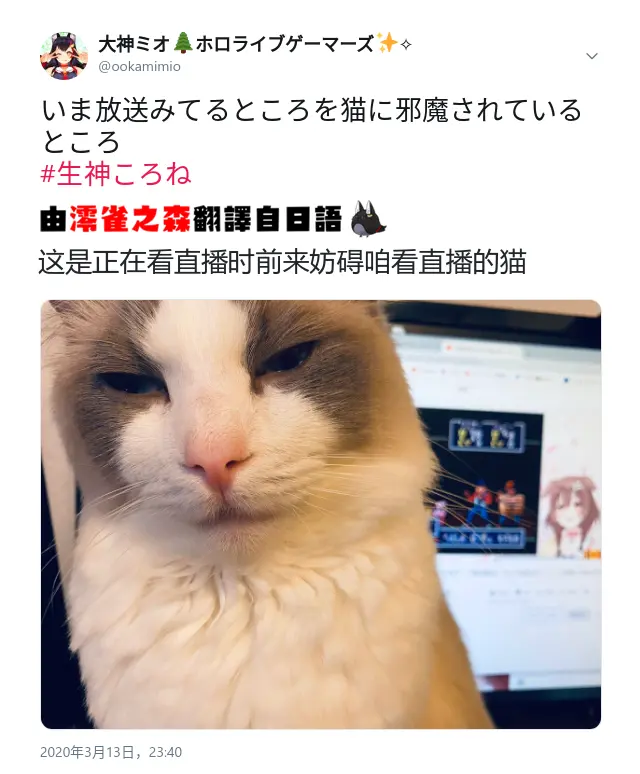 大神澪周报】第二十一期（3.9-3.15） - 哔哩哔哩