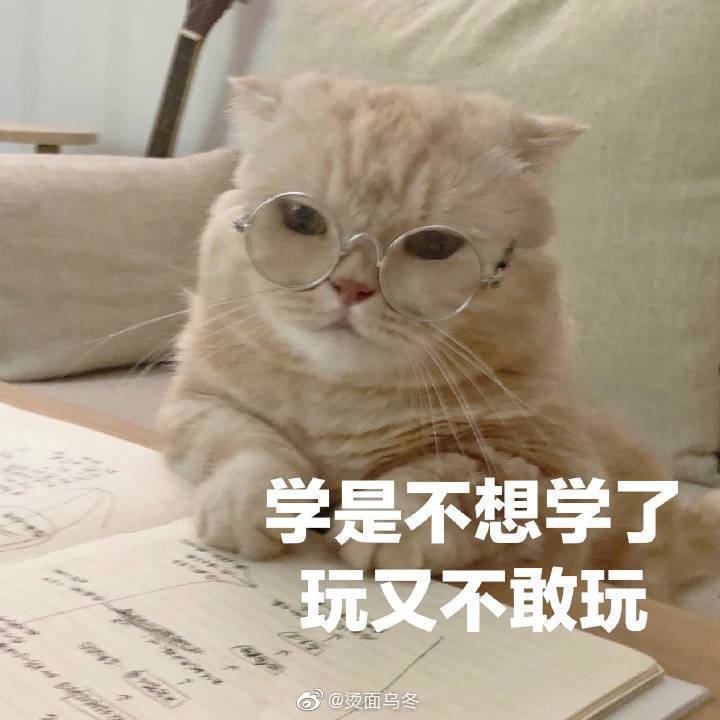 哔哩哔哩相簿,绘你所想,拍你所爱