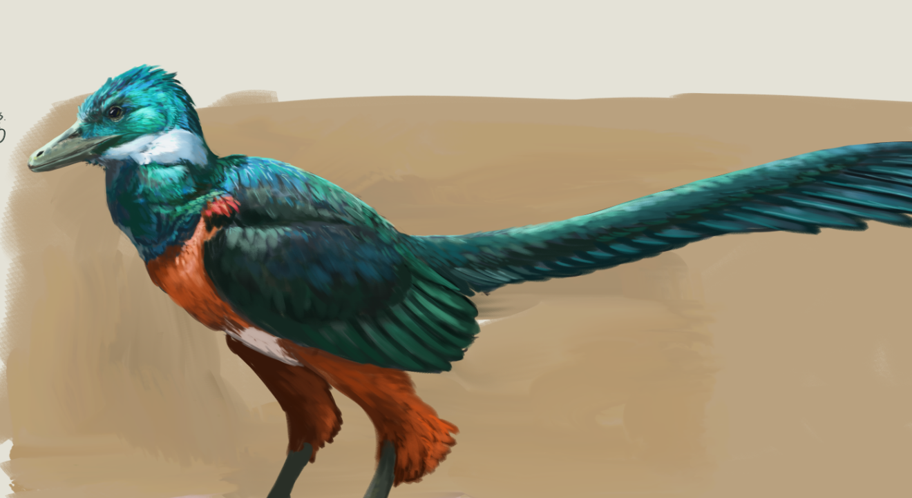 填坑一只胁空鸟龙中.