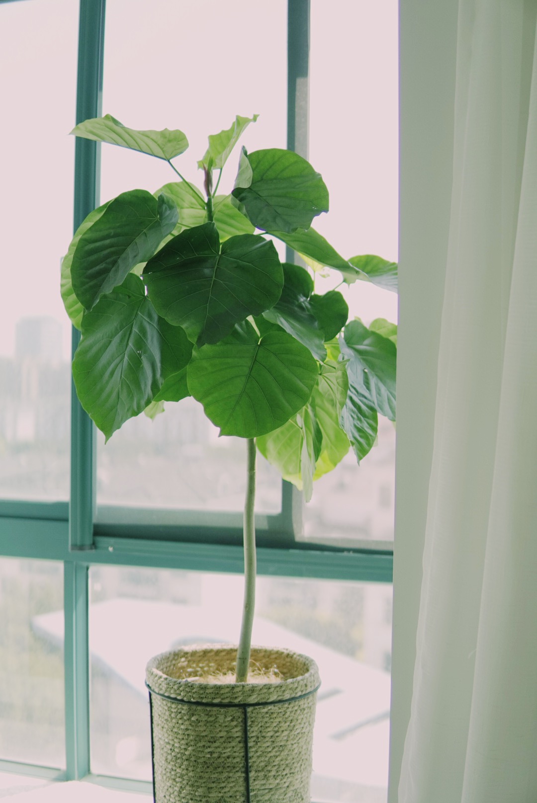 西西卡同学 哔哩哔哩相簿