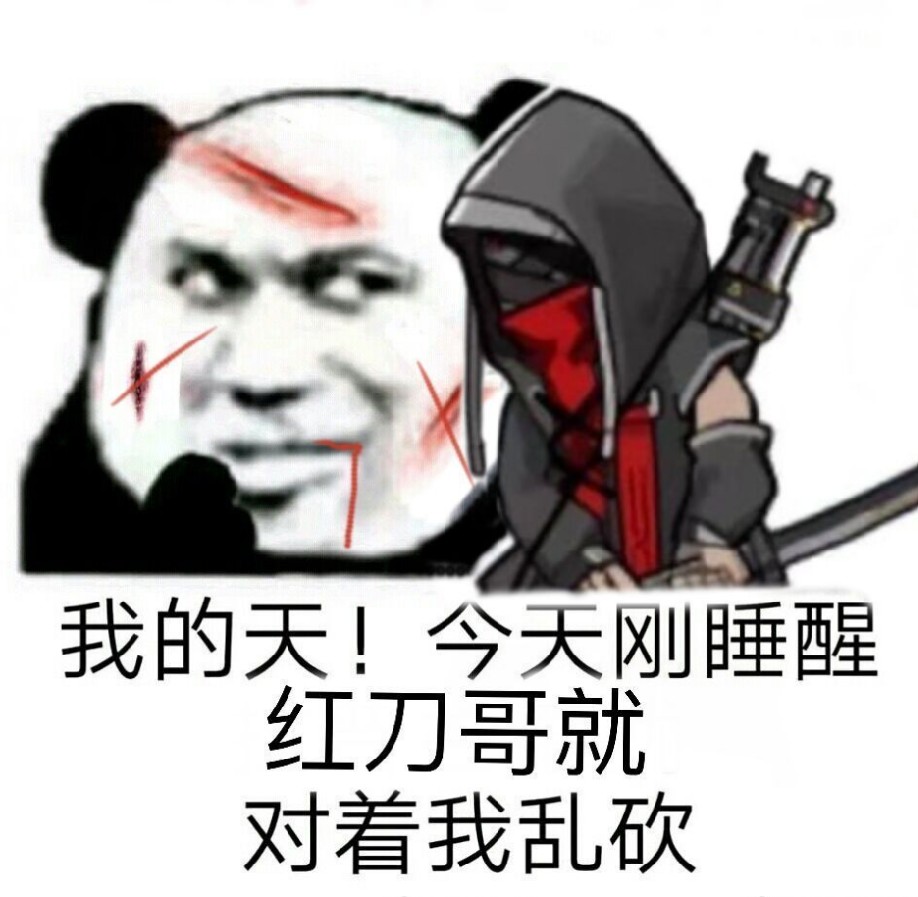 飞鸟知道还否 _ 哔哩哔哩相簿