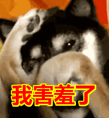 221_240gif 动态图 动图