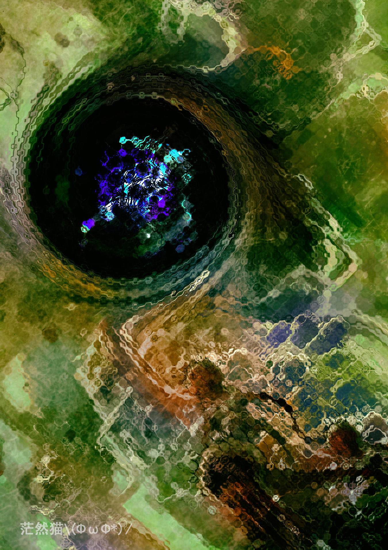 星之彩与廷达罗斯猎犬有个约会