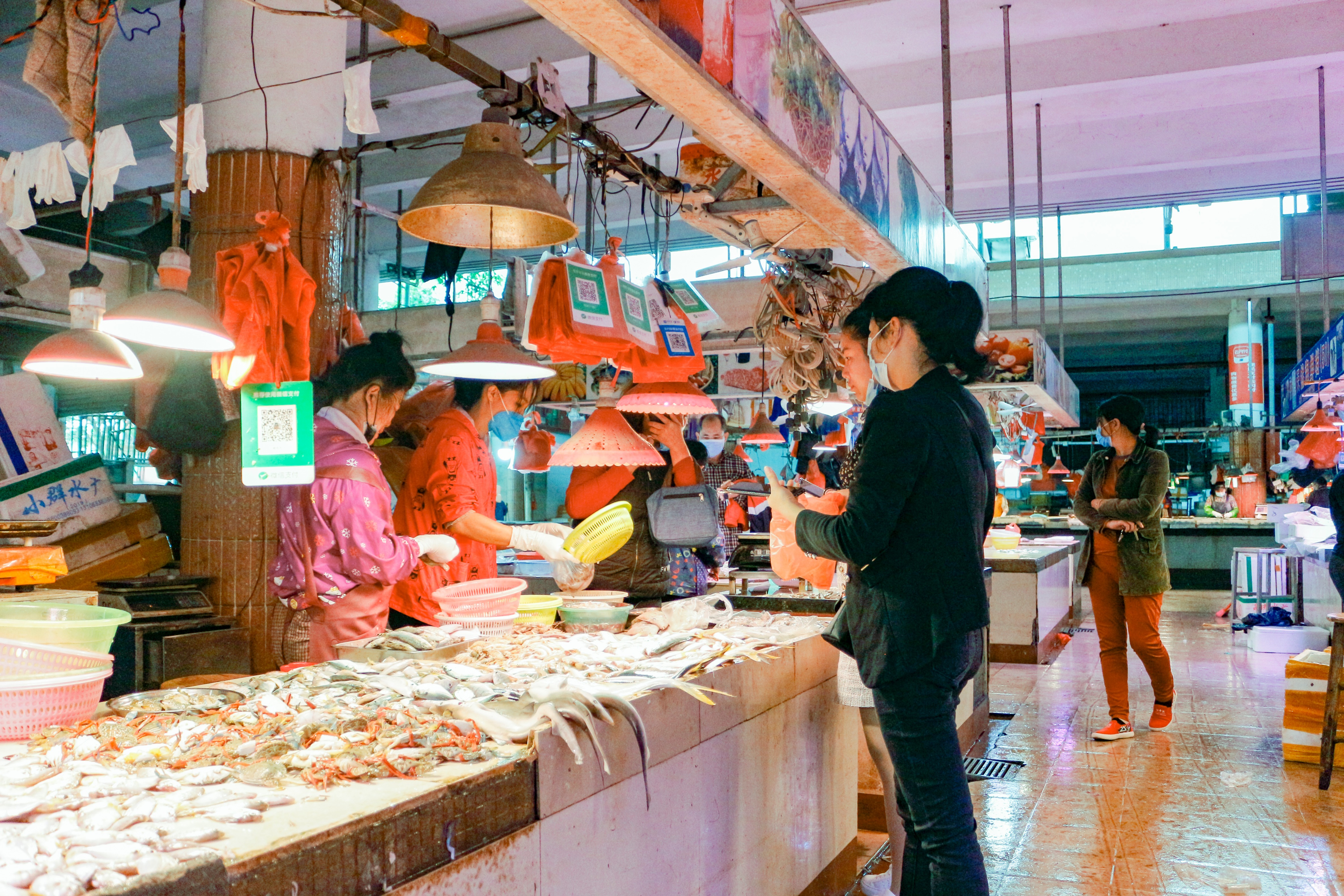 广东省遂溪县城内市场影像