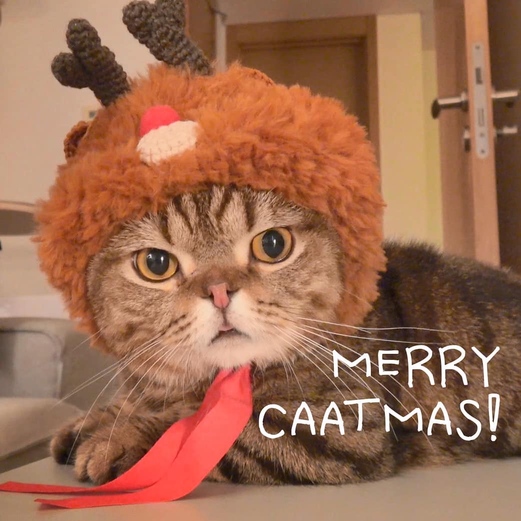 lulu:平安夜快乐[大笑]