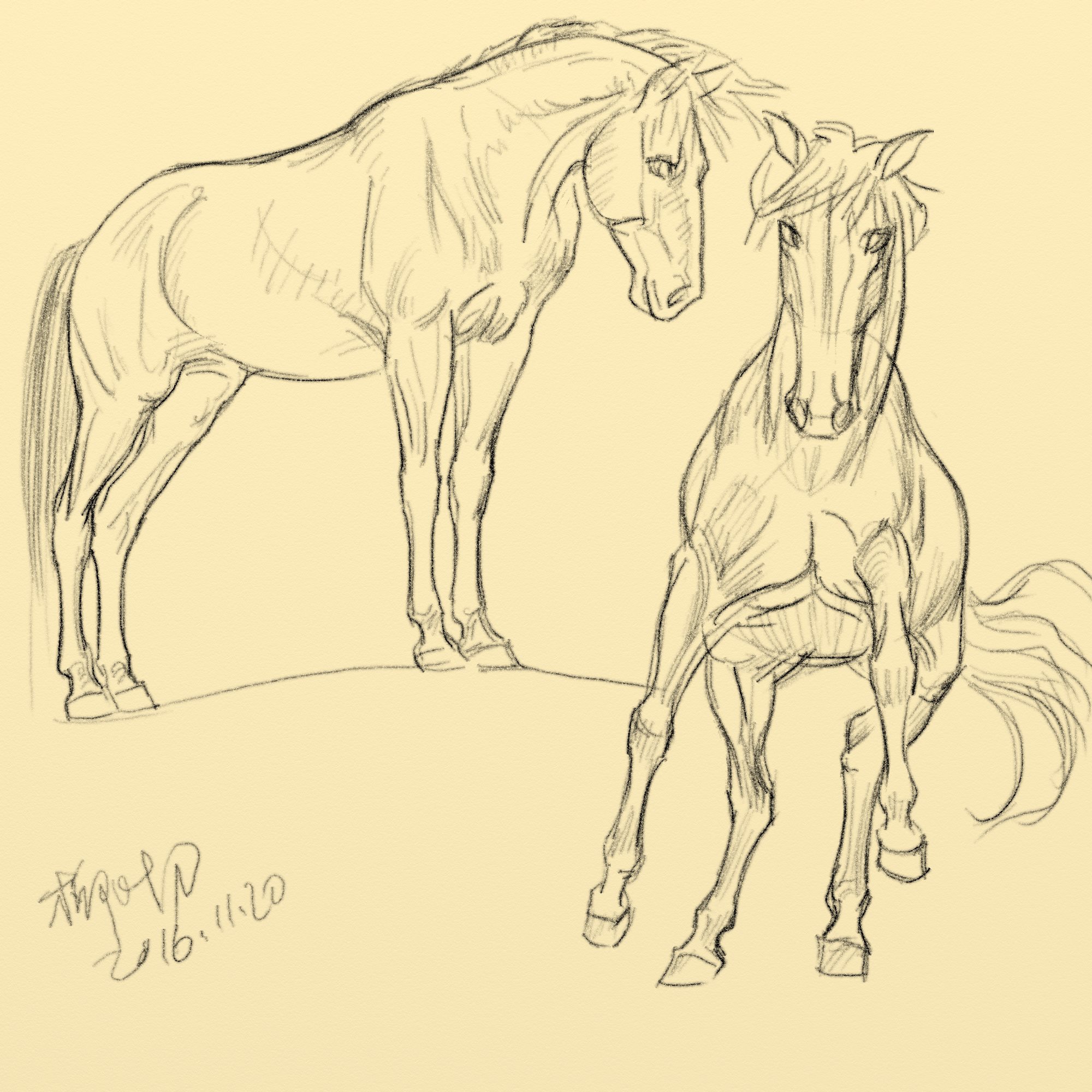 骏马速写 _ 柳叶刀六爷 _ 哔哩哔哩相簿
