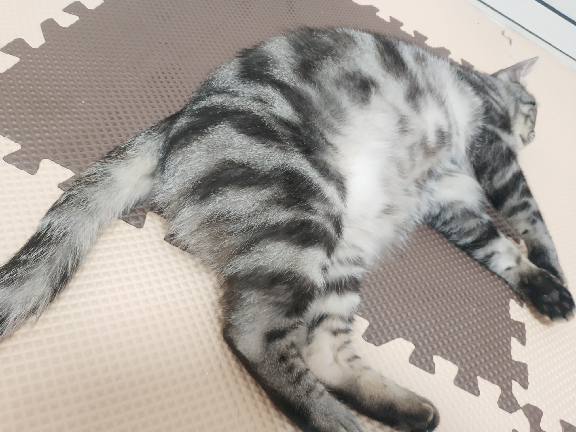 安逸酱酱酱 _ 哔哩哔哩相簿