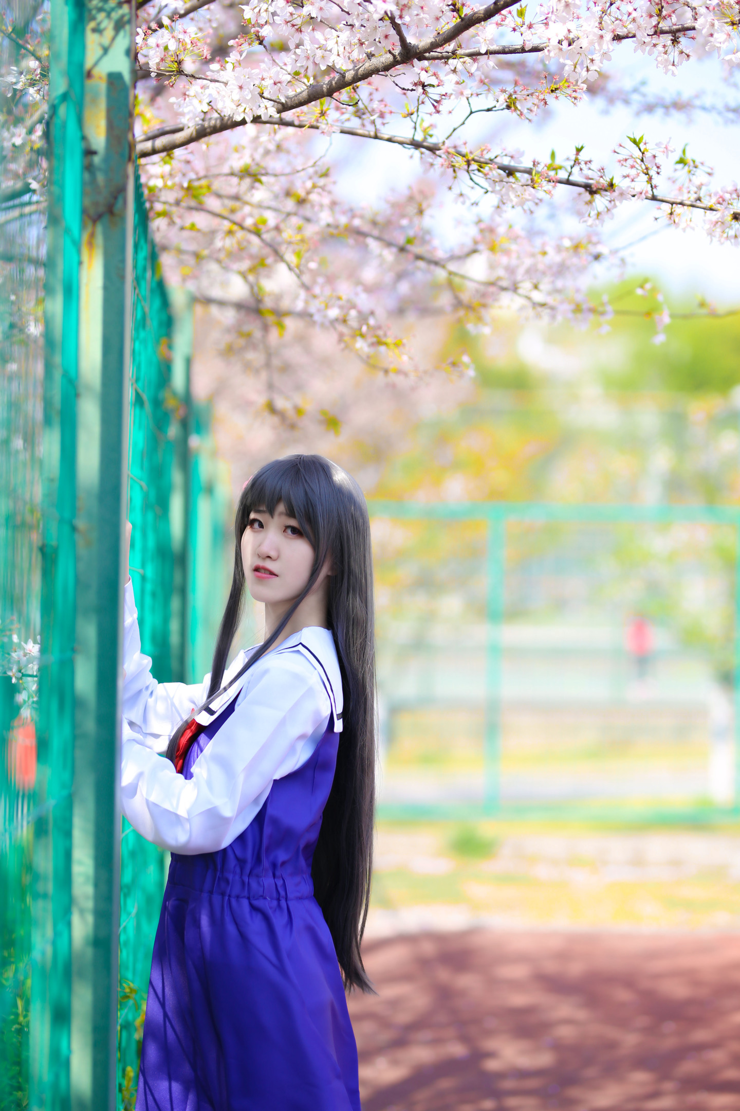 菟子酱天使降临到我身边白咲花CosPlay5