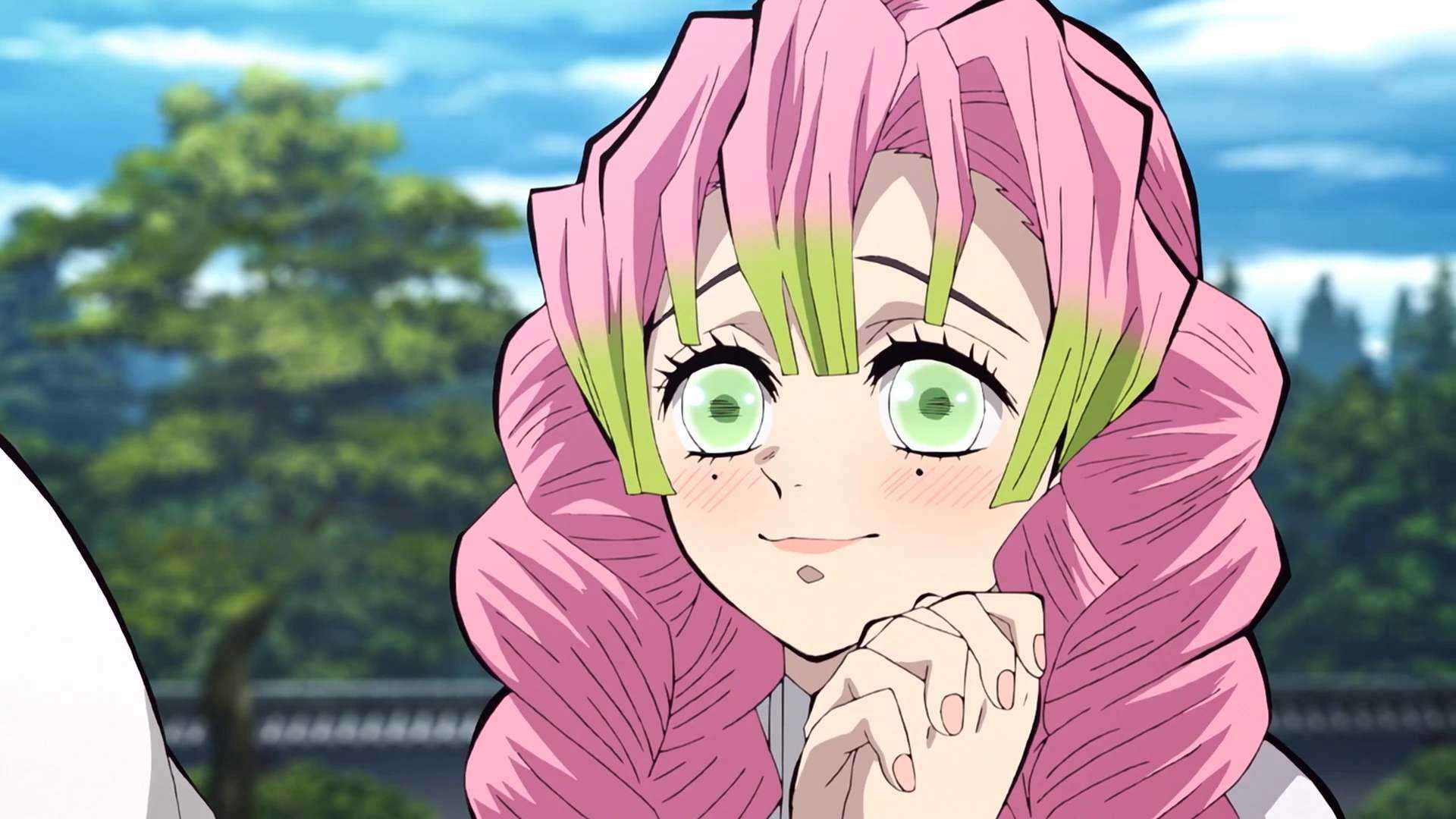 雨师紫梅-清家墨兰 _ 哔哩哔哩相簿