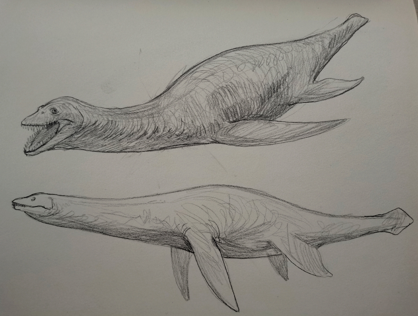 ta 的直播间闲置中南方巨兽龙素描讲解柳老仙人14ta 的小视频0ta 还没