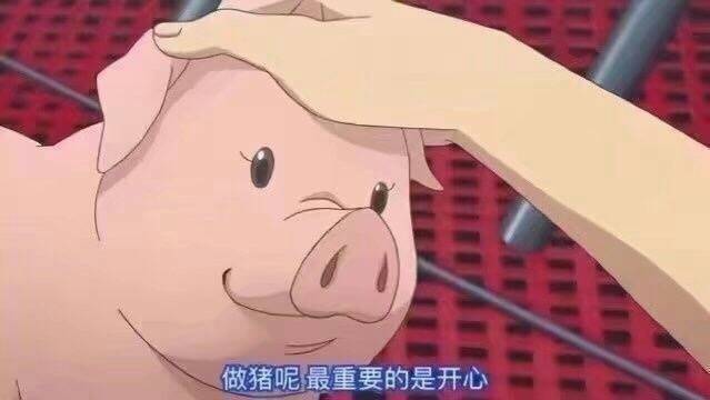 苏苏苏良生 _ 哔哩哔哩相簿