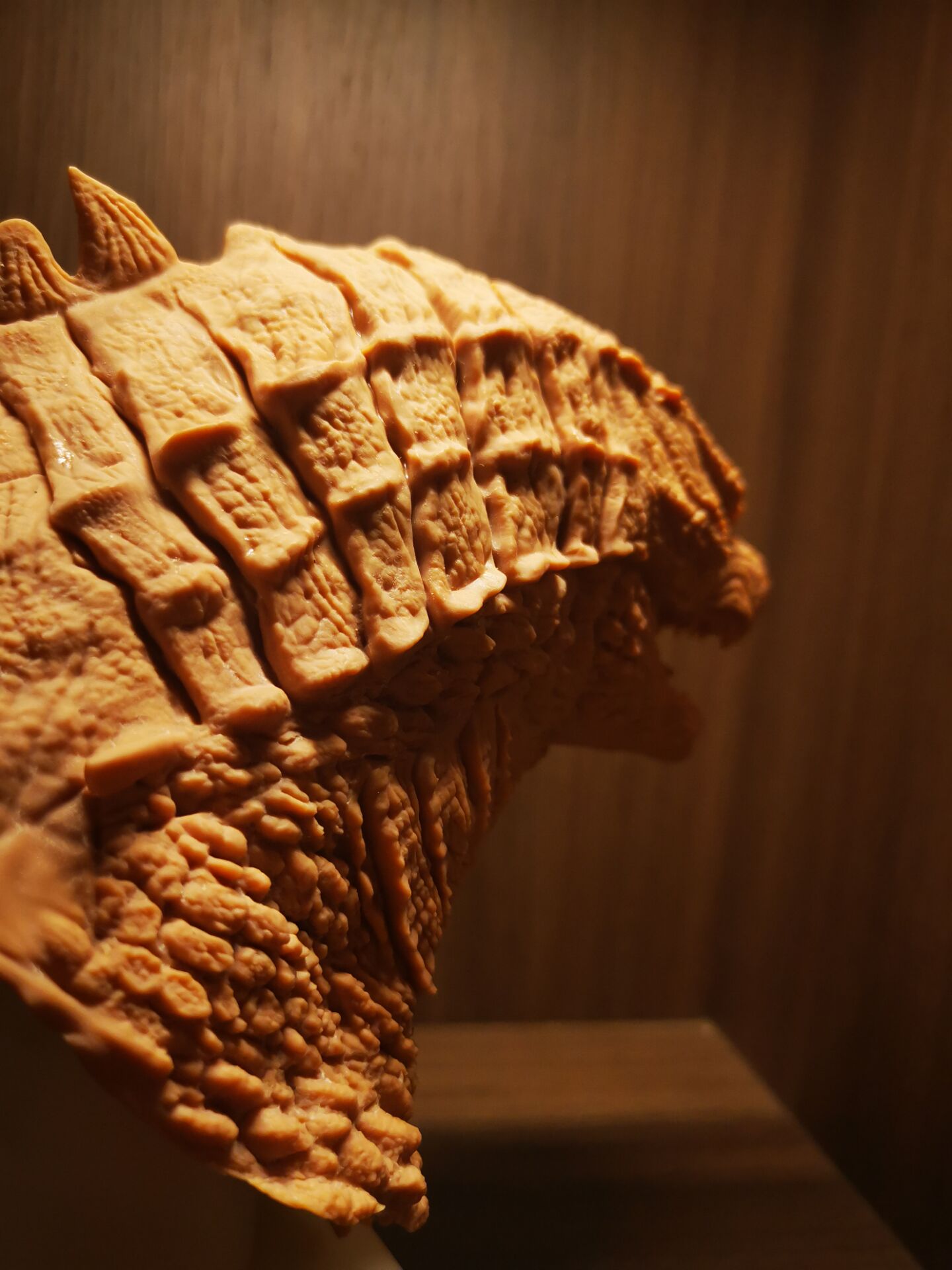 surprise 妈惹法克儿浏览:1026收藏:0支持:15上传时间:2022-02-03 20