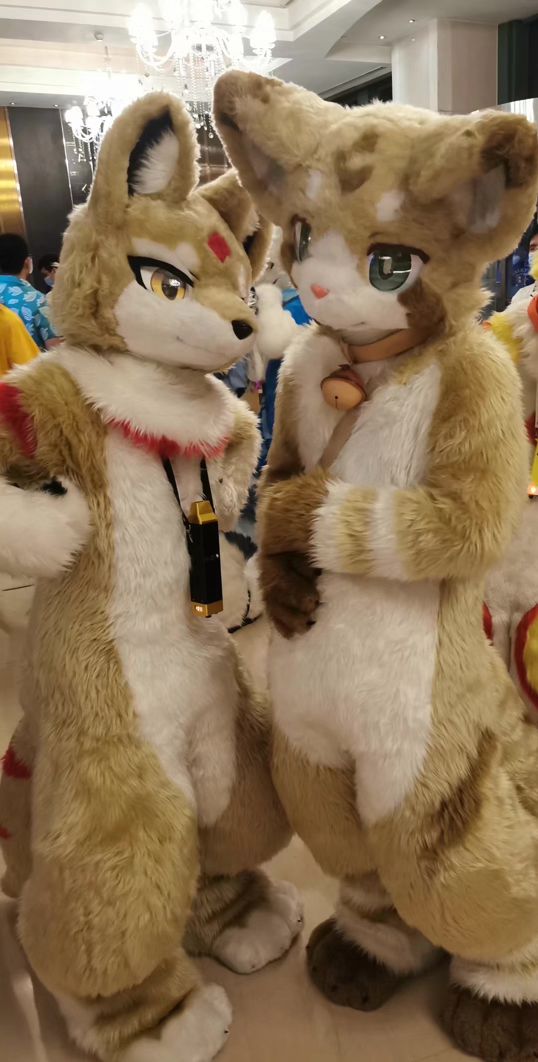 fursuitfriday 和奶斯聚聚的合影