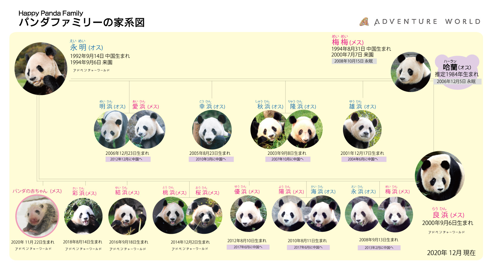 三丽鸥全员中文对照表图片