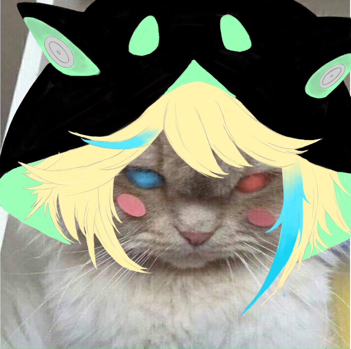 摸了一个可可爱爱的委屈猫猫表情包 咋子哥真的好可爱啊!