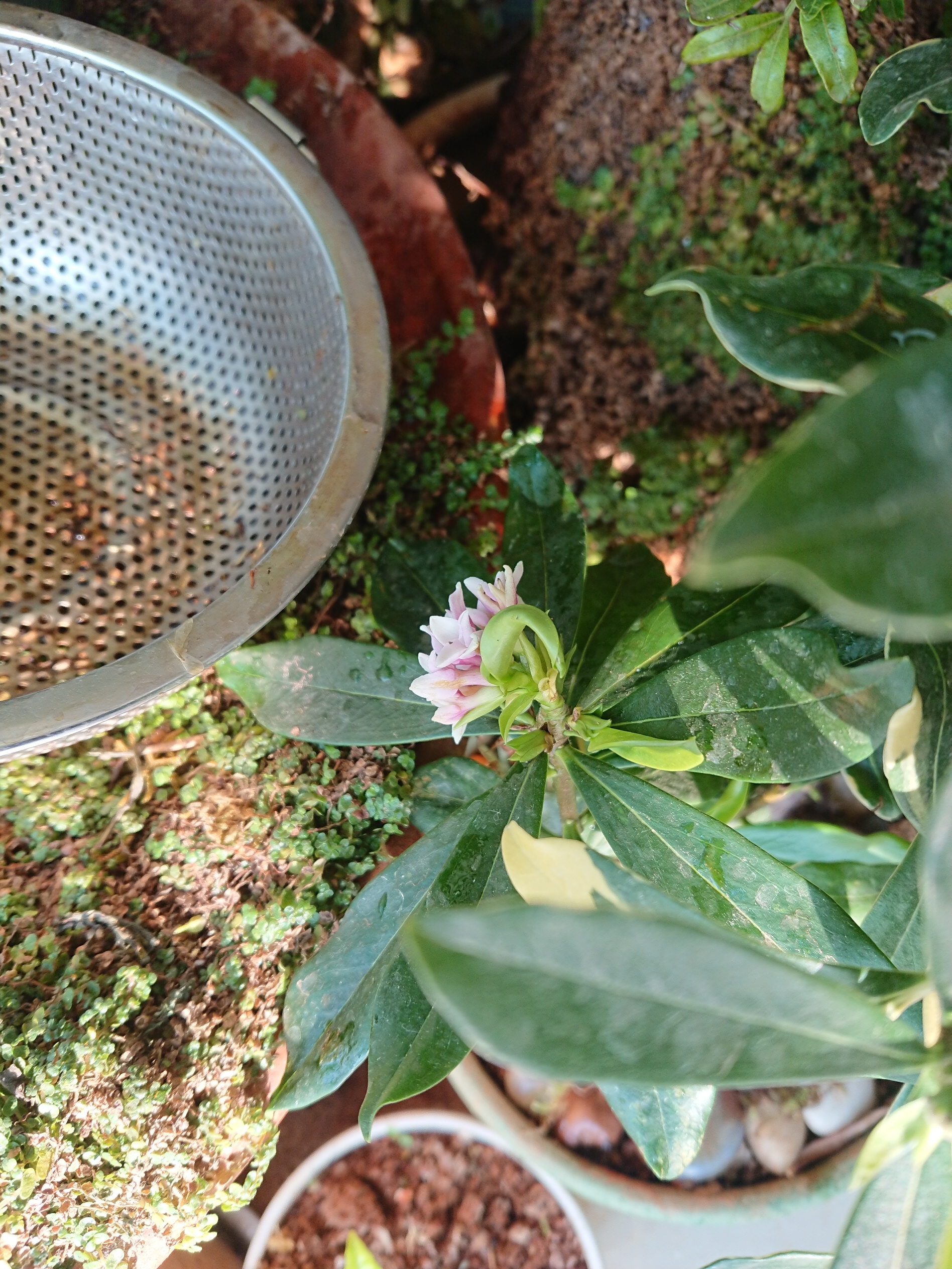 professorlvs _ 哔哩哔哩相簿