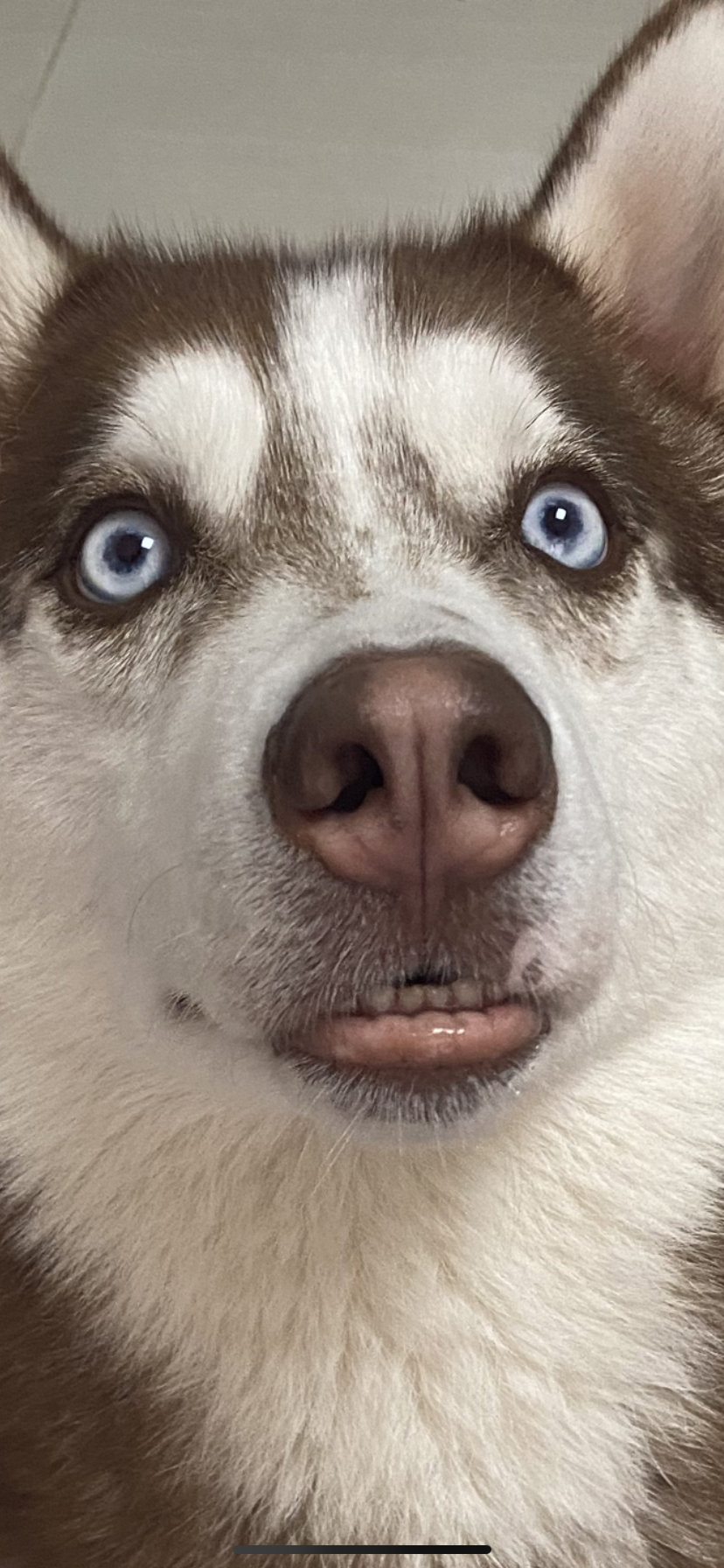 哈仔十一 _ 哔哩哔哩相簿