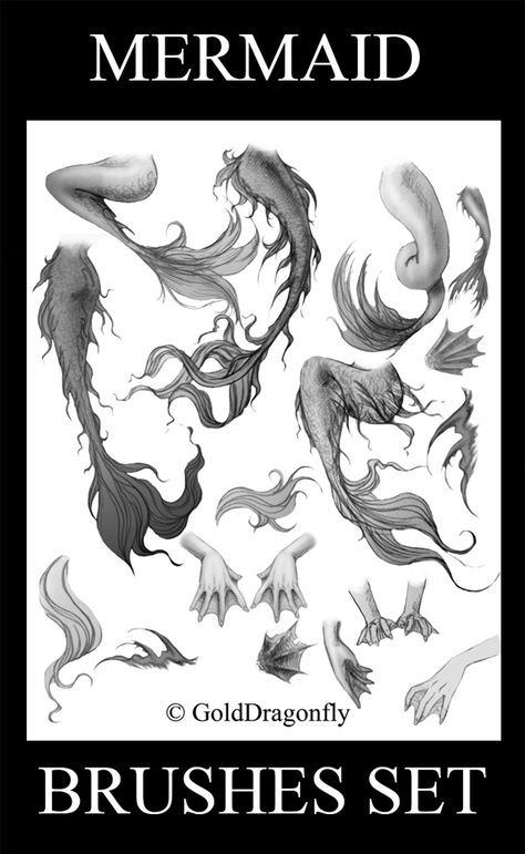 一组人鱼尾巴参考~  #绘画素材#浏览:4378收藏:2支持:36上传时间:2021