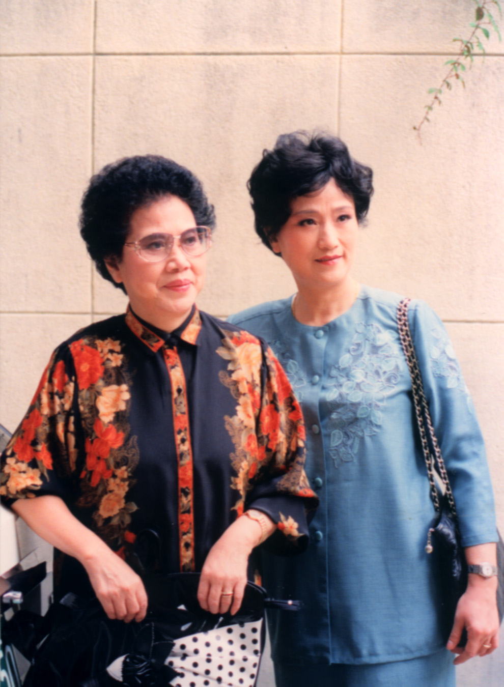 千里共婵娟越剧王文娟