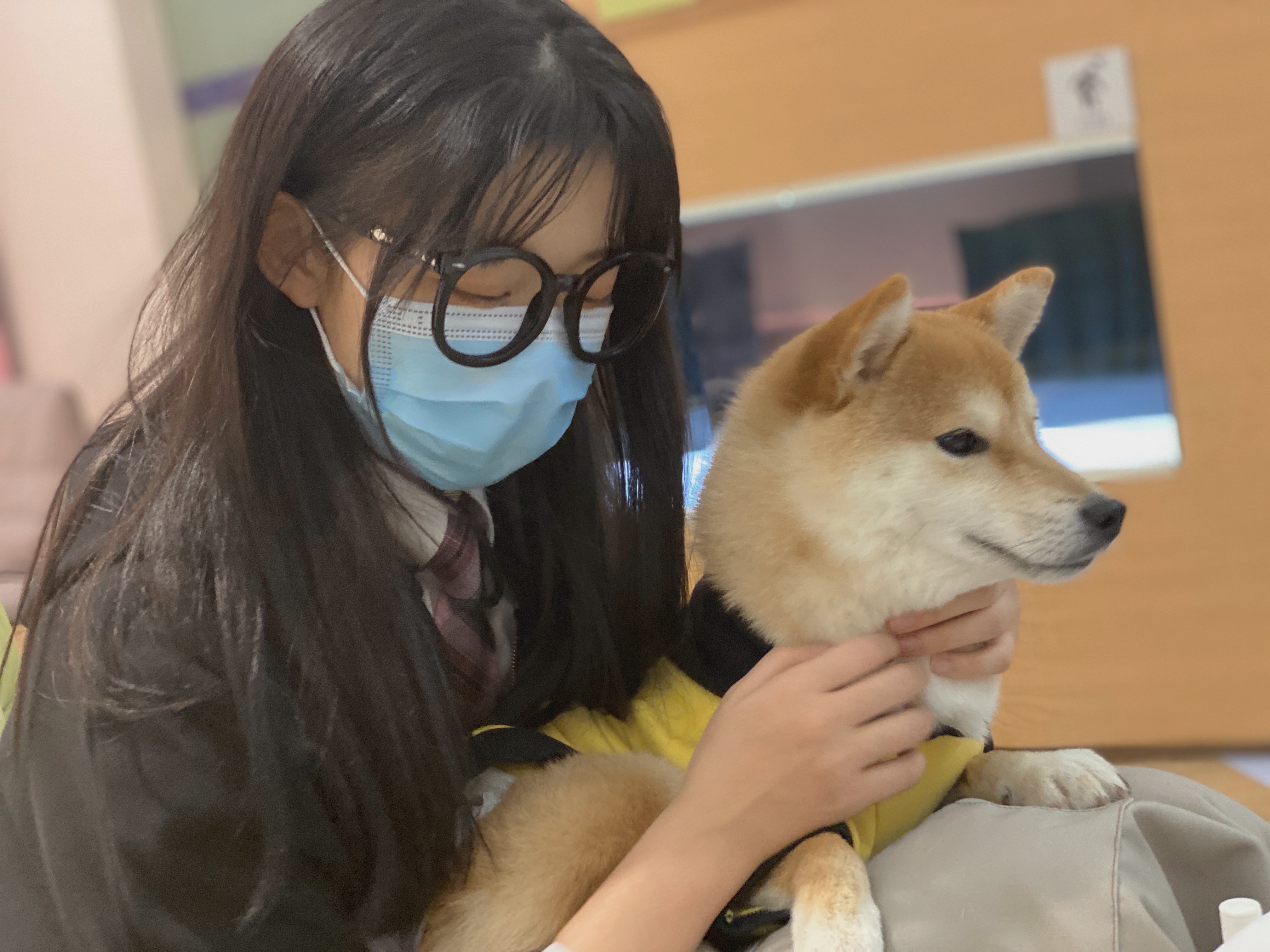 慧慧小仙女er _ 哔哩哔哩相簿