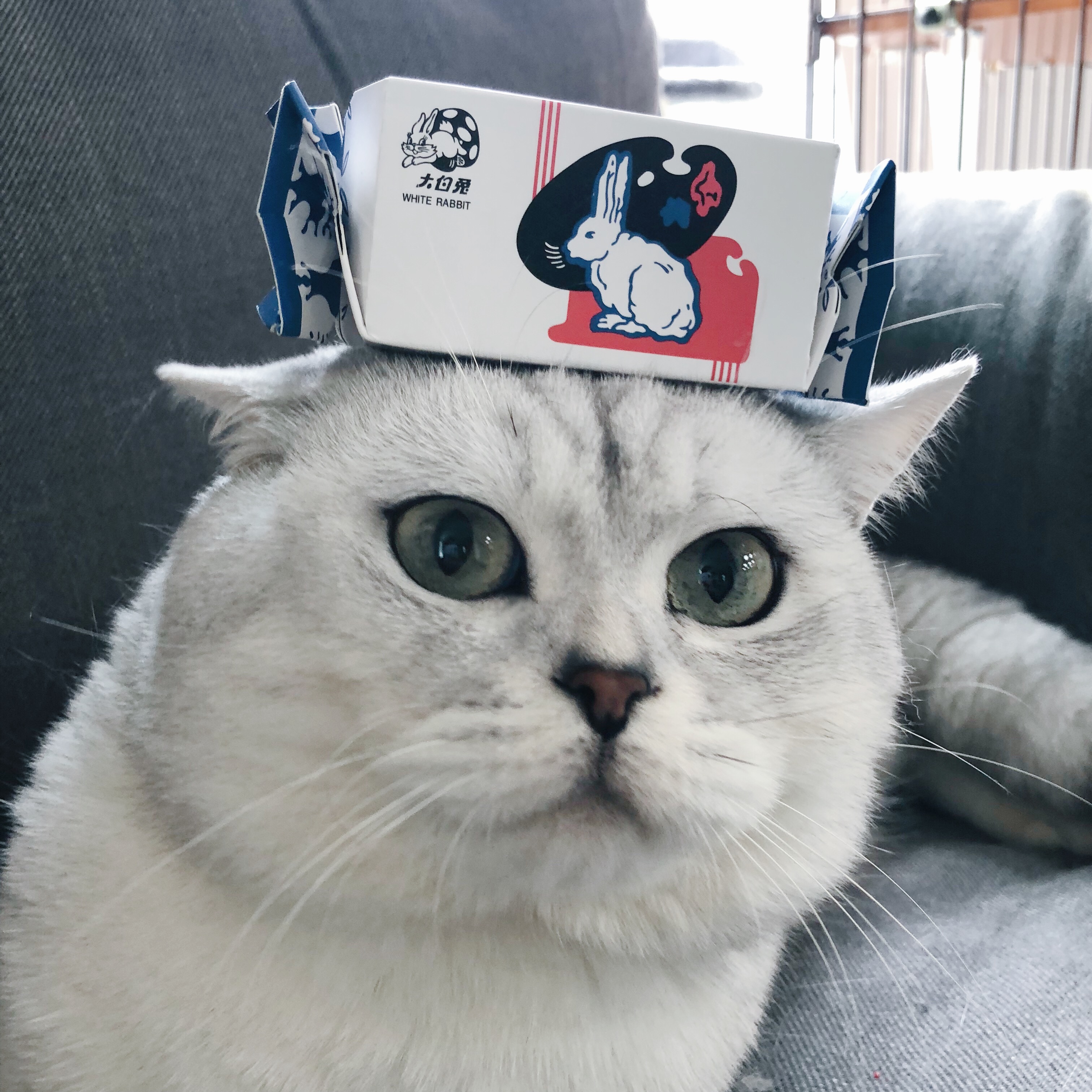 王子宝宝本人 _ 哔哩哔哩相簿