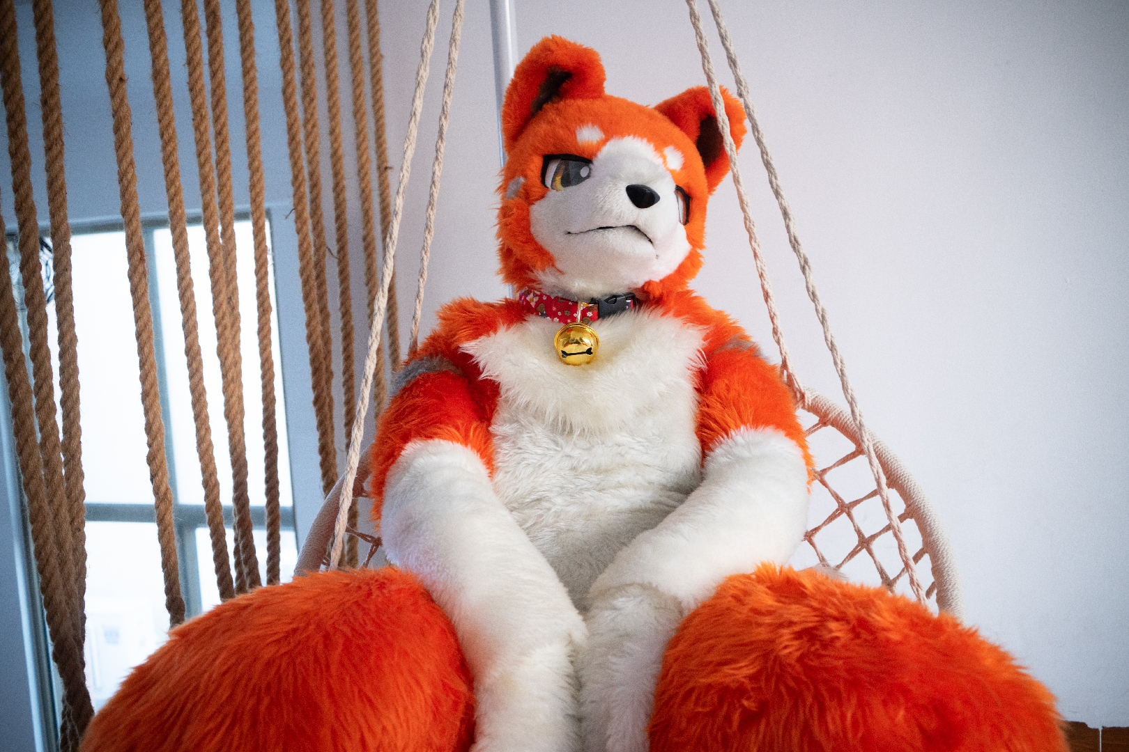 不知不觉又过一周#fursuitfriday