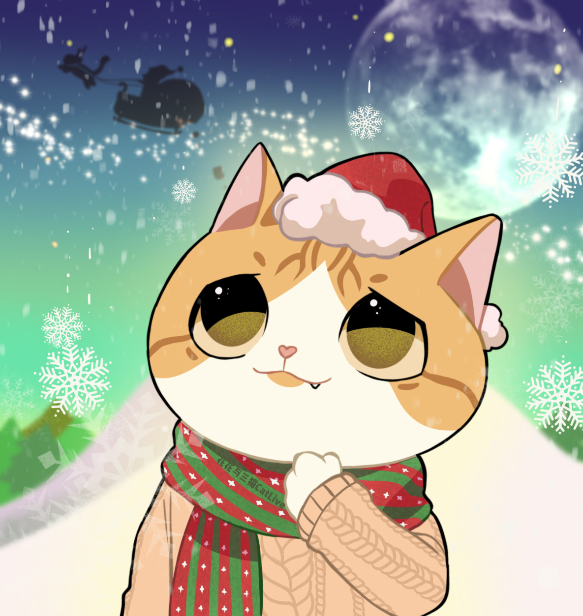 花花与三猫catlive _ 哔哩哔哩相簿