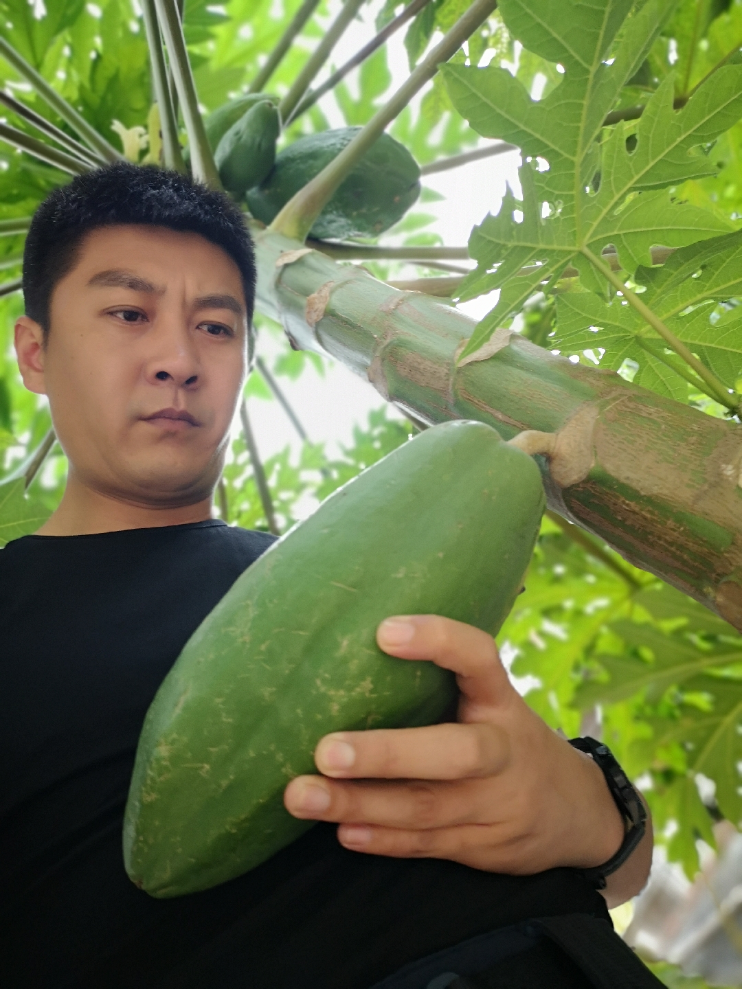 辣个董叔 _ 哔哩哔哩相簿