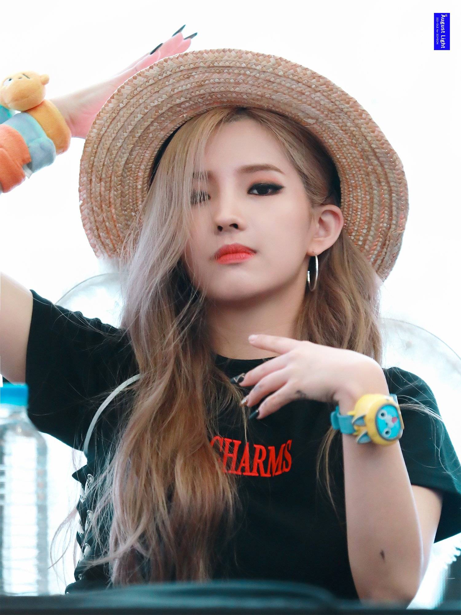 萌的一只泰泰啊 _ 哔哩哔哩相簿