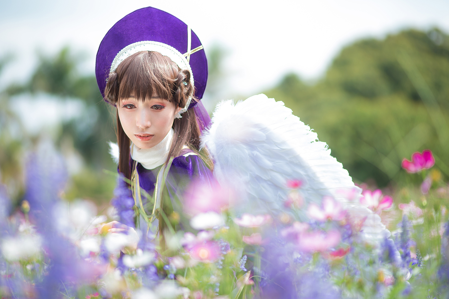 神风怪盗贞德 白草的白 哔哩哔哩相簿