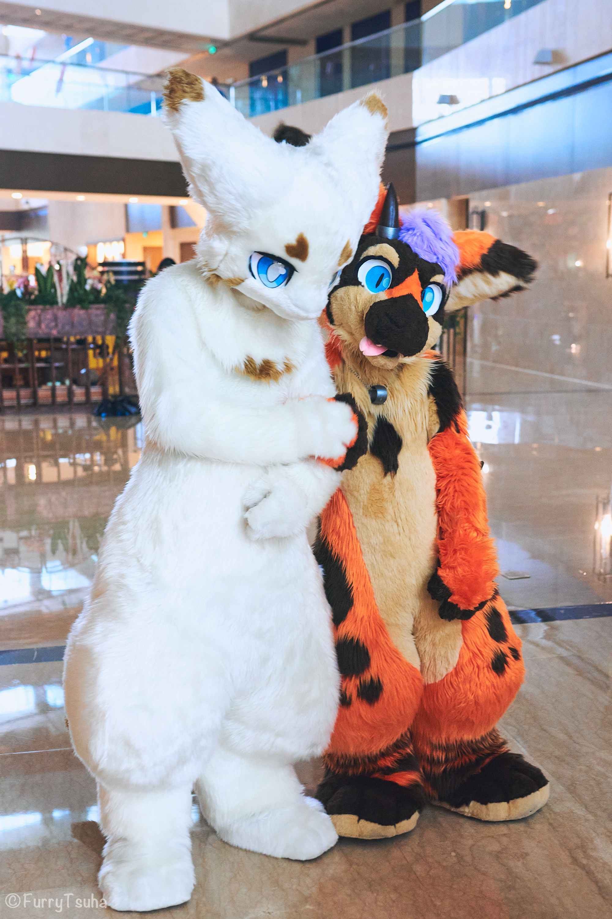 梓夏tsuha _ 哔哩哔哩相簿