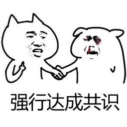 faster车友社 _ 哔哩哔哩相簿