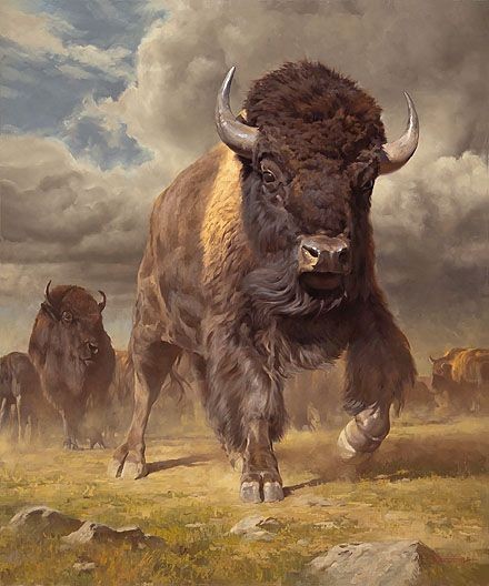 举报 日常 上传时间:2021-02-14 14:32:45 浏览:2066收藏:0支持:57 ta