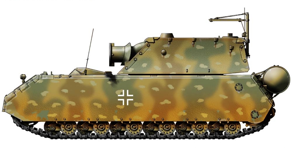 无所事事虎鲸妹 _ 哔哩哔哩相簿