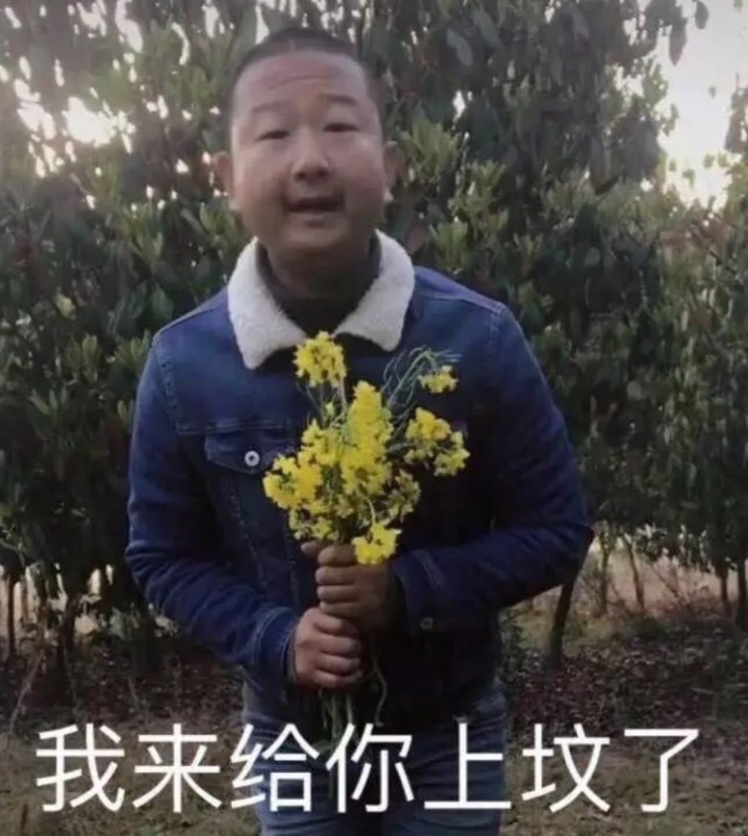 我捷某人直接起飞 _ 哔哩哔哩相簿
