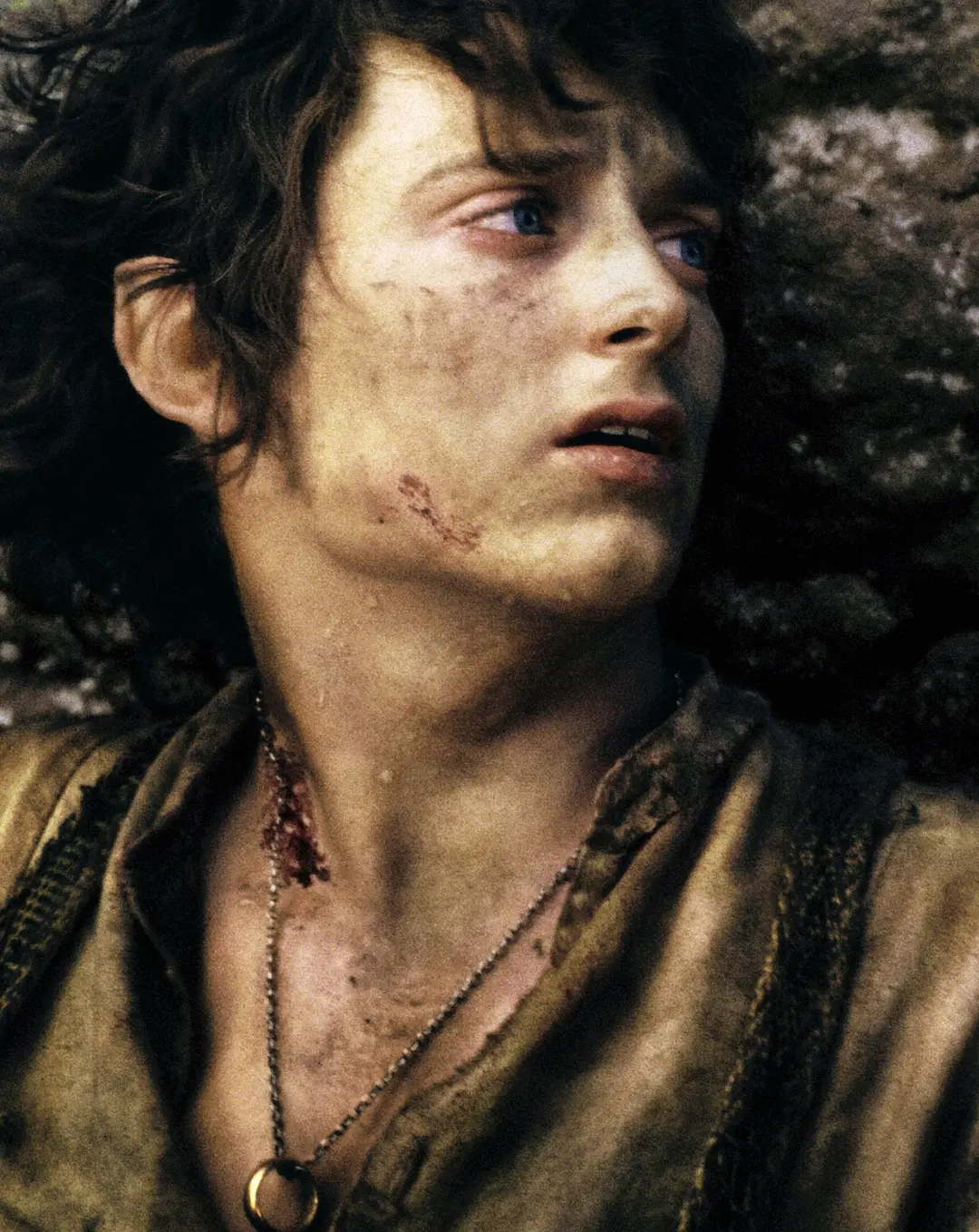 小媛同学在上海 _ 哔哩哔哩相簿