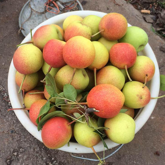 美食家大雄 _ 哔哩哔哩相簿