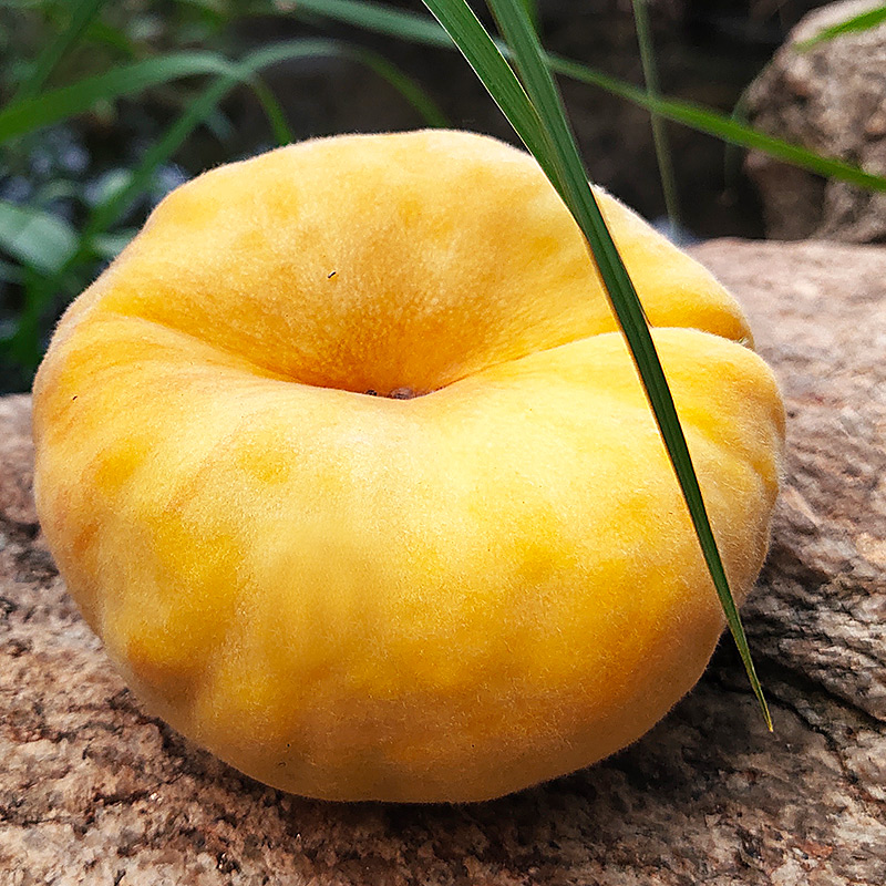 美食二哈 _ 哔哩哔哩相簿